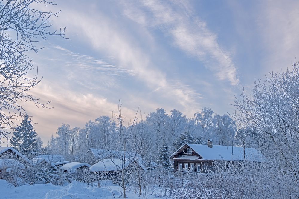 Фотография автора Наталья Липовская