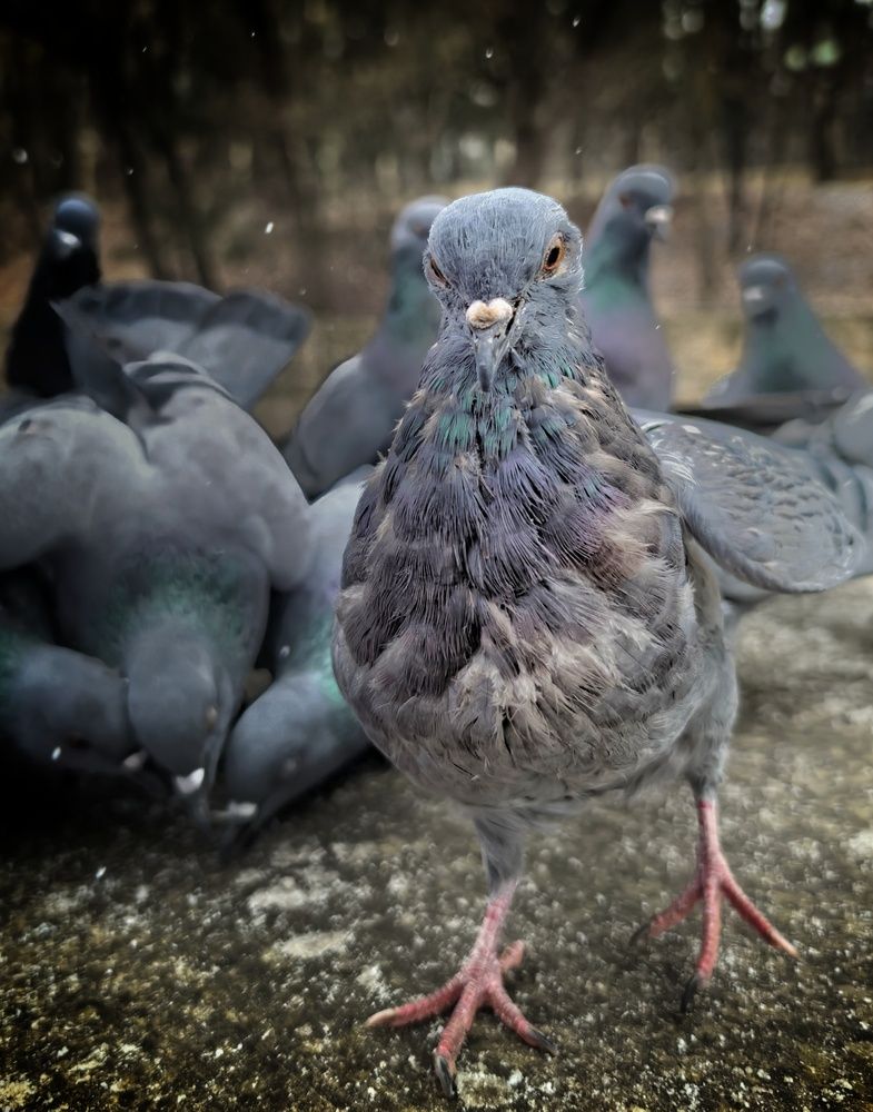 Photograph by Кривенко Владимир