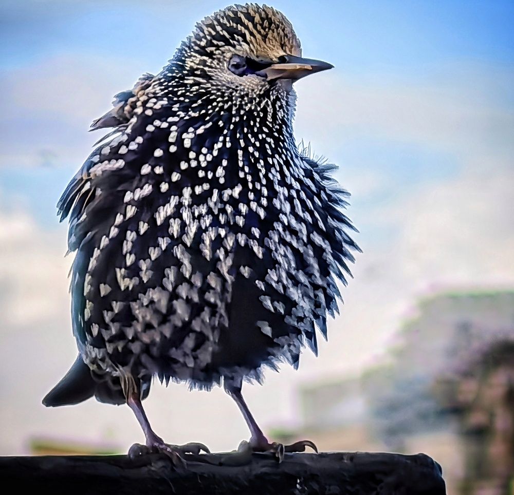 Photograph by Кривенко Владимир