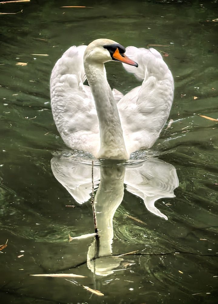 Photograph by Кривенко Владимир
