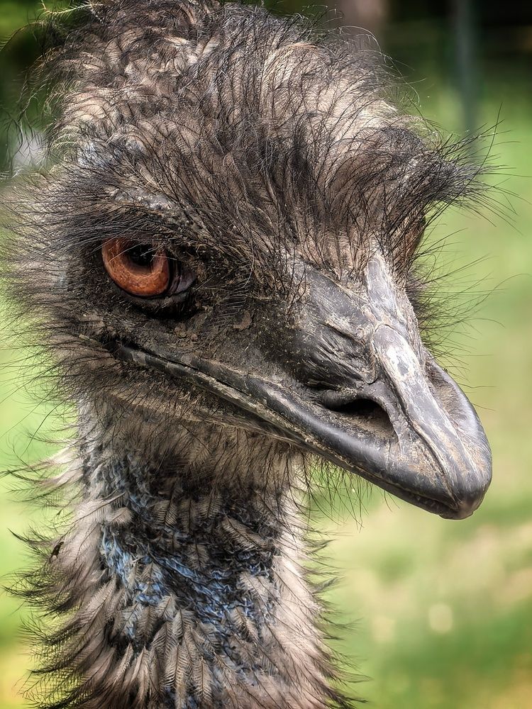 Photograph by Кривенко Владимир