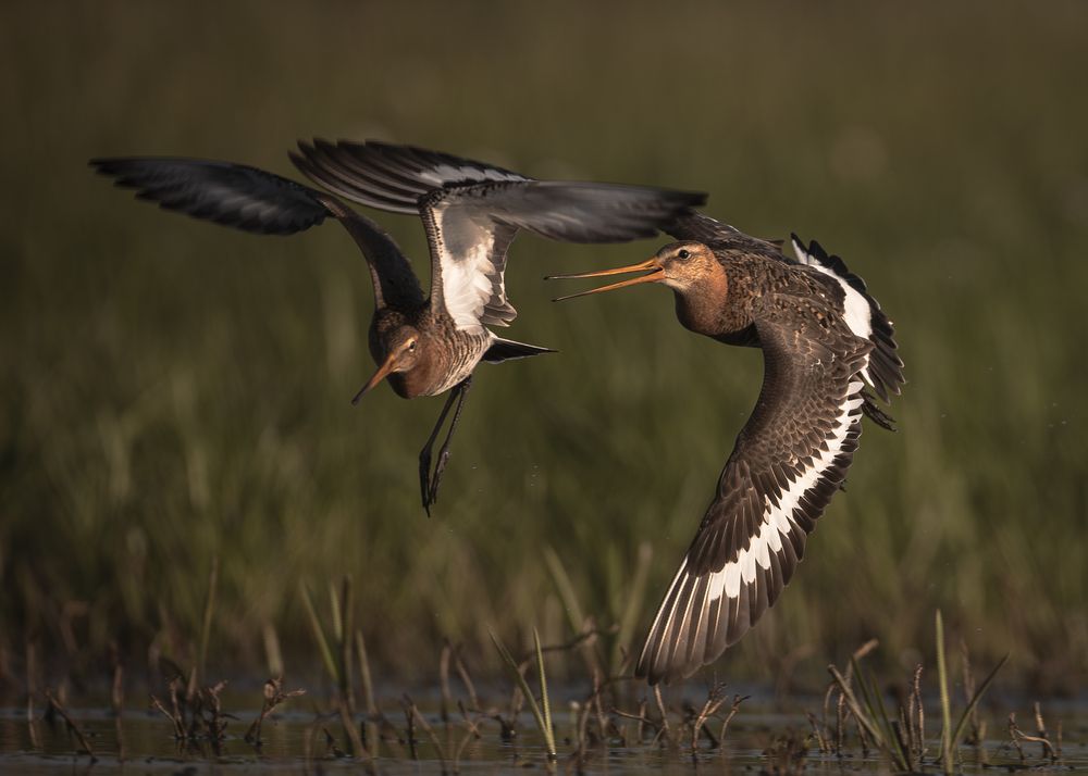Photograph by Radosław Makowczyński