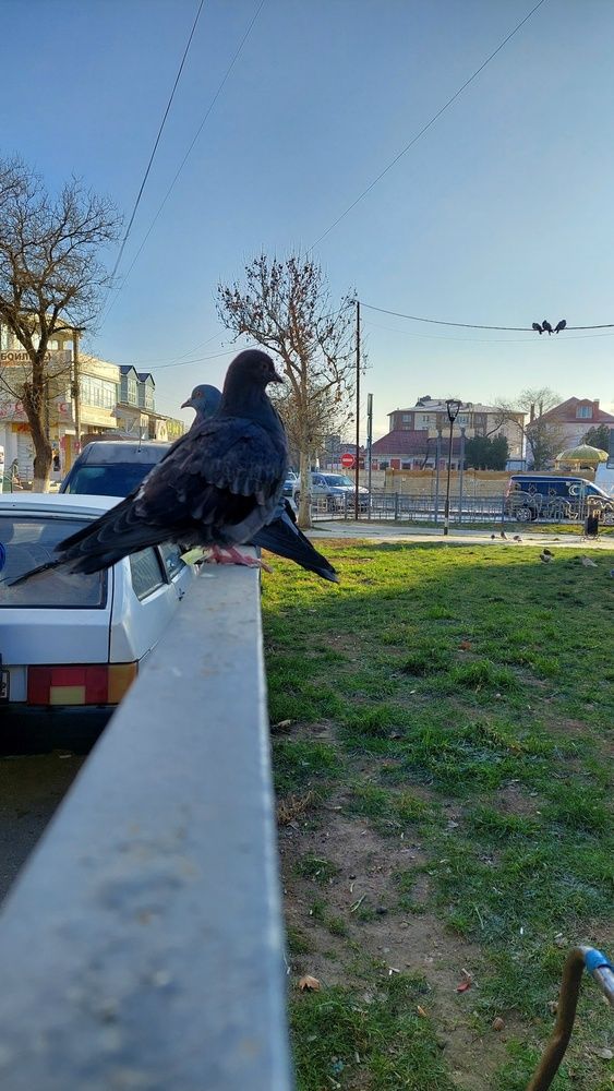 Фотография автора Анатолий Дячина