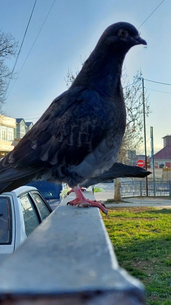 Photograph by Анатолий Дячина