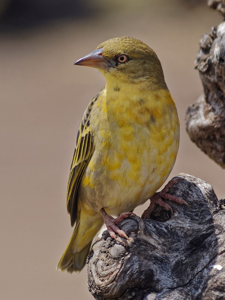 Photograph by Андрей Панин