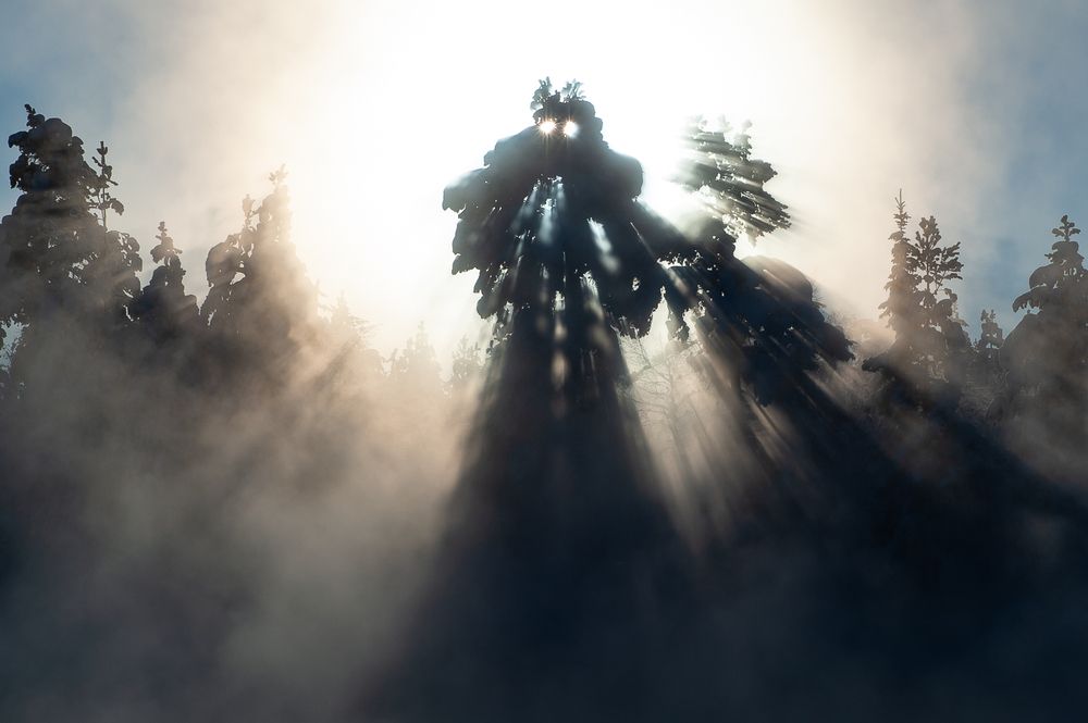 Фотография автора Борис