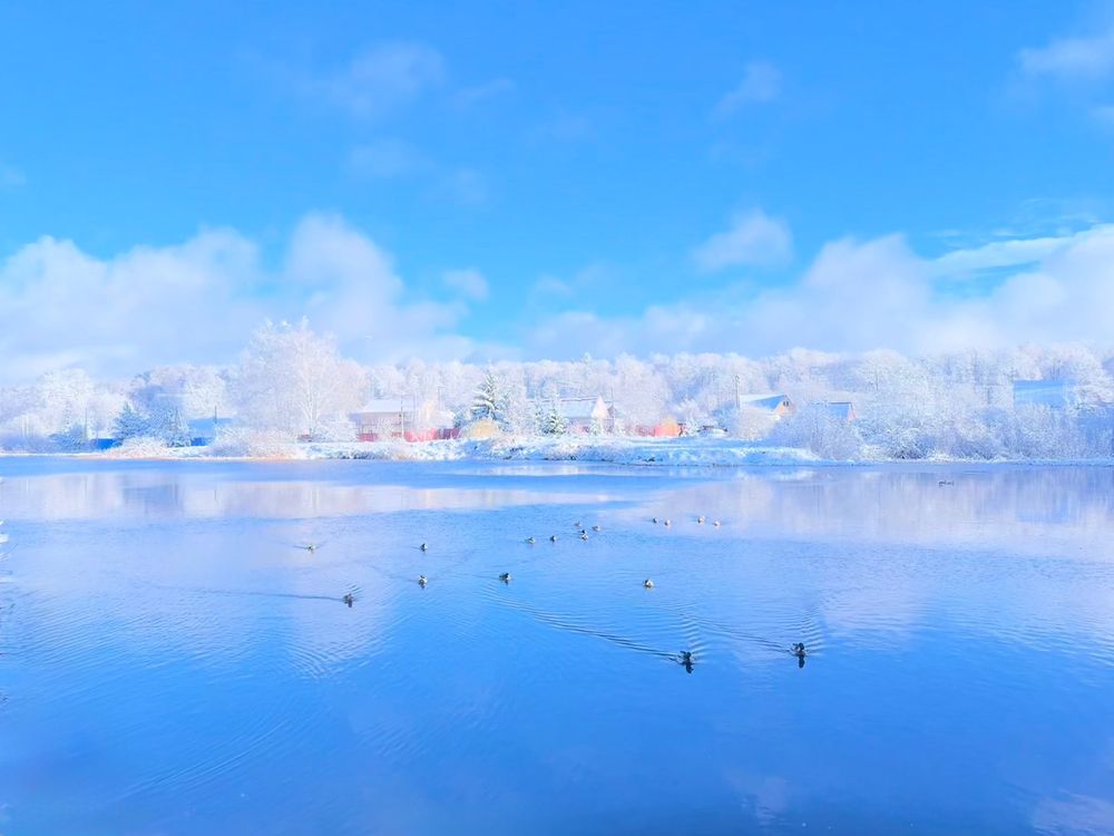 Фотография автора Наталья Сережко