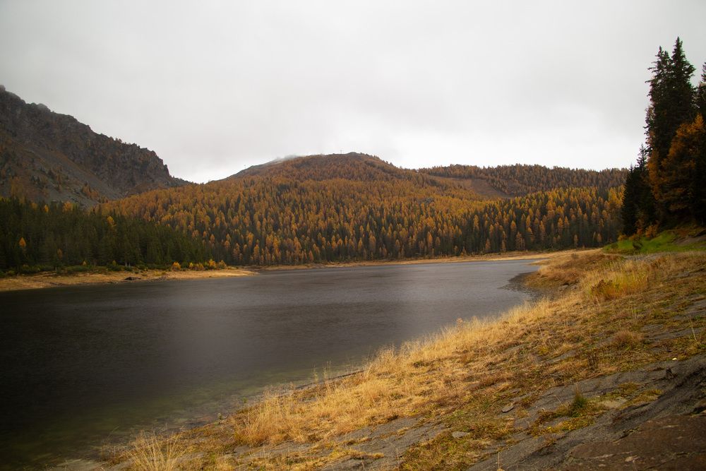 Lago palú
