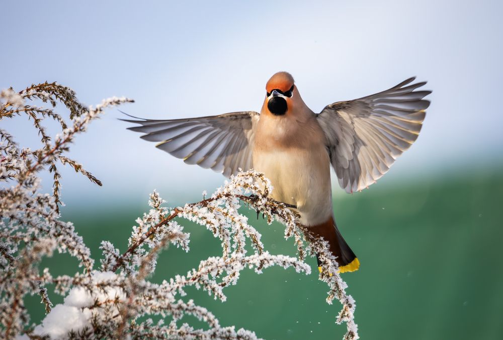 Фотография автора Жгилёв Сергей