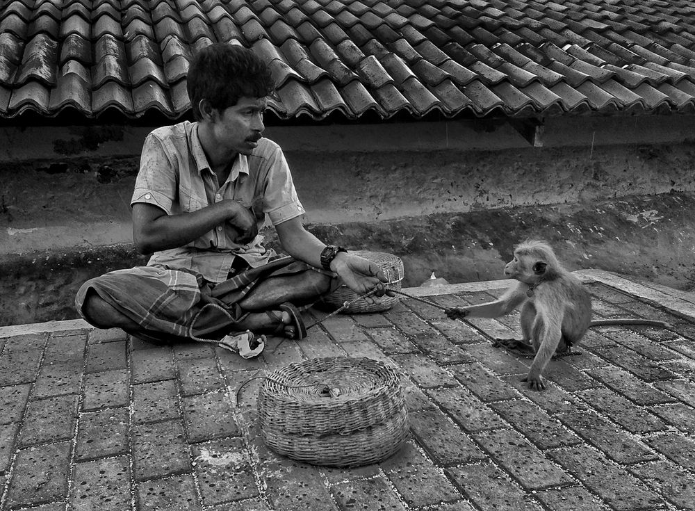 Фотография автора Laddu Sasindu Pramuditha De Silva