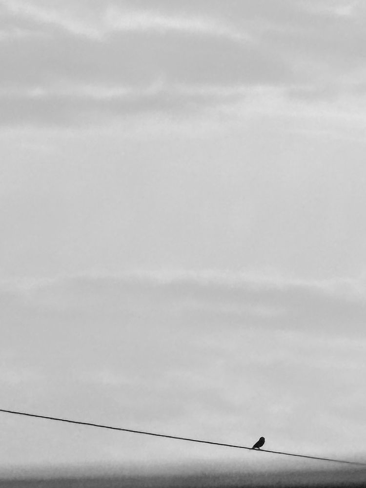 Фотография автора Darya Leonteva