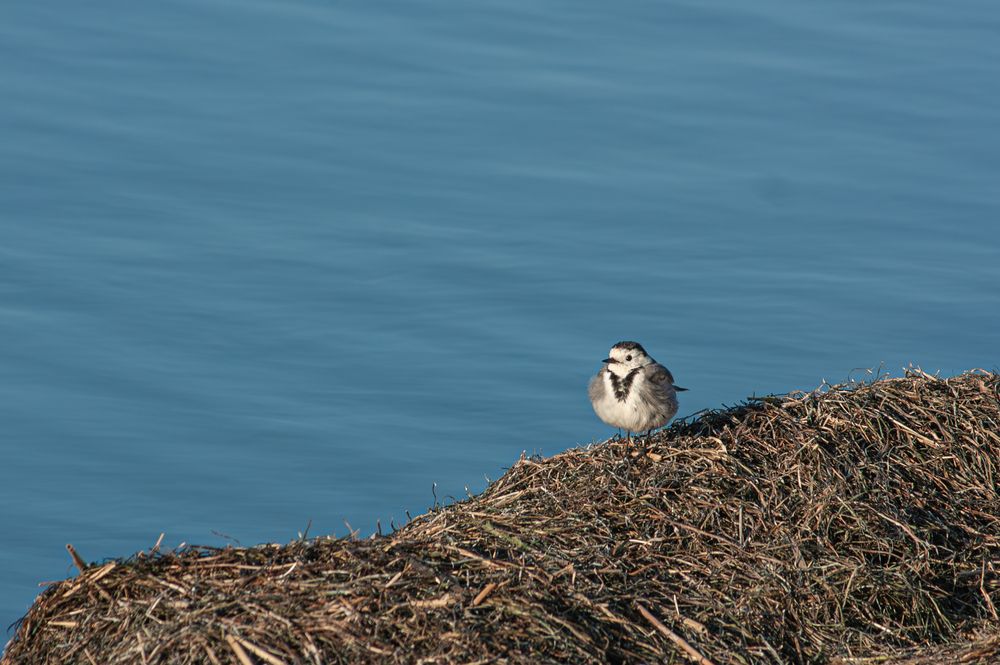 Photograph by Сергей Христинич