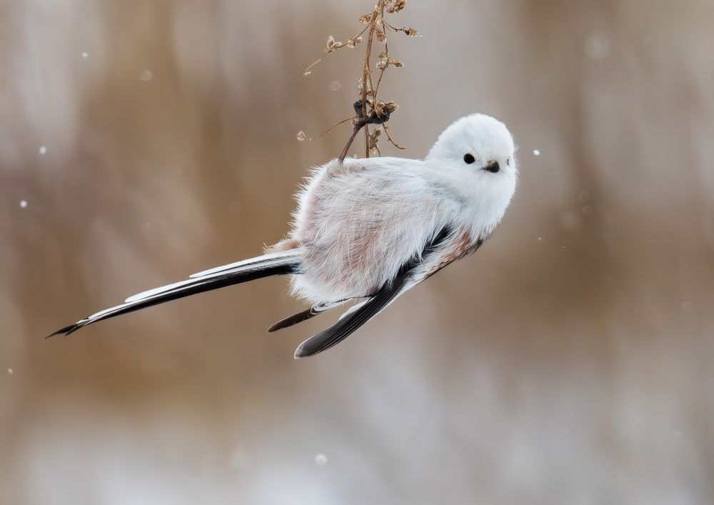 Photograph by Жгилёв Сергей