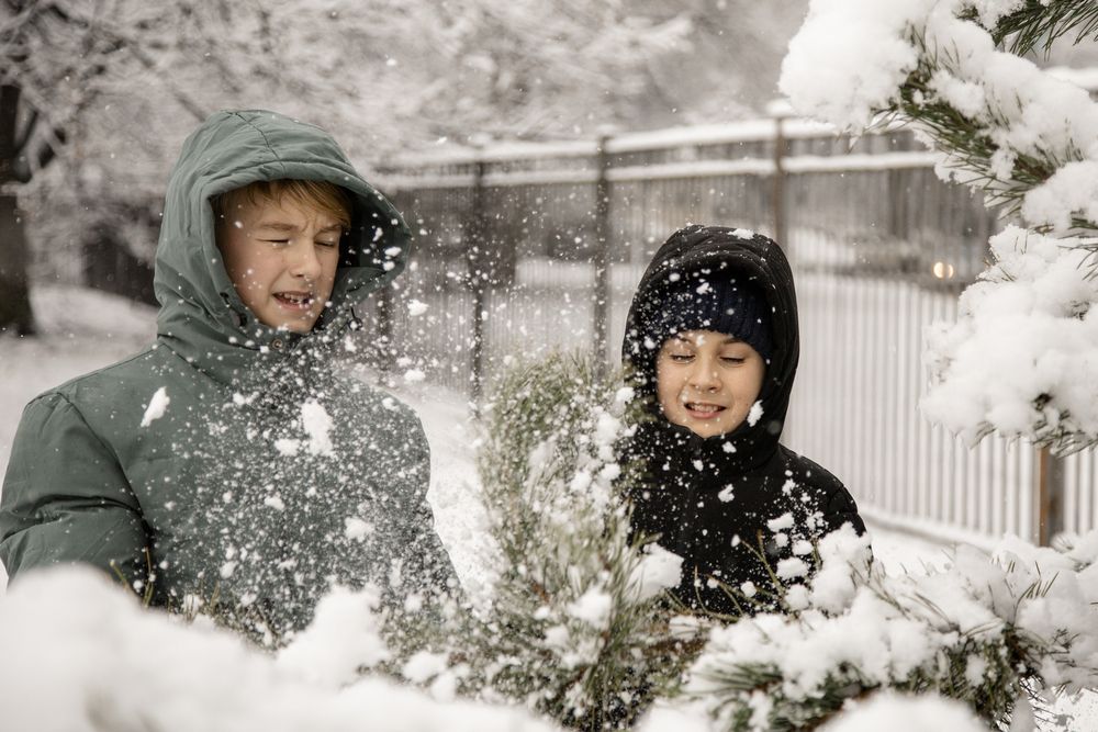 Фотография автора Станислава Гордеева