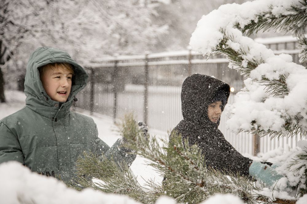 Фотография автора Станислава Гордеева