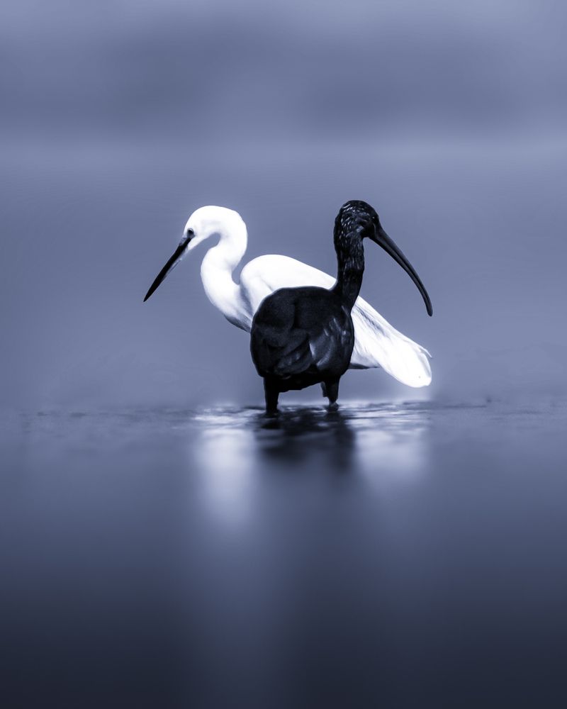 Photograph by Asamanj Maiti