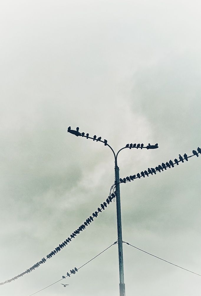 Photograph by Омут Жаб