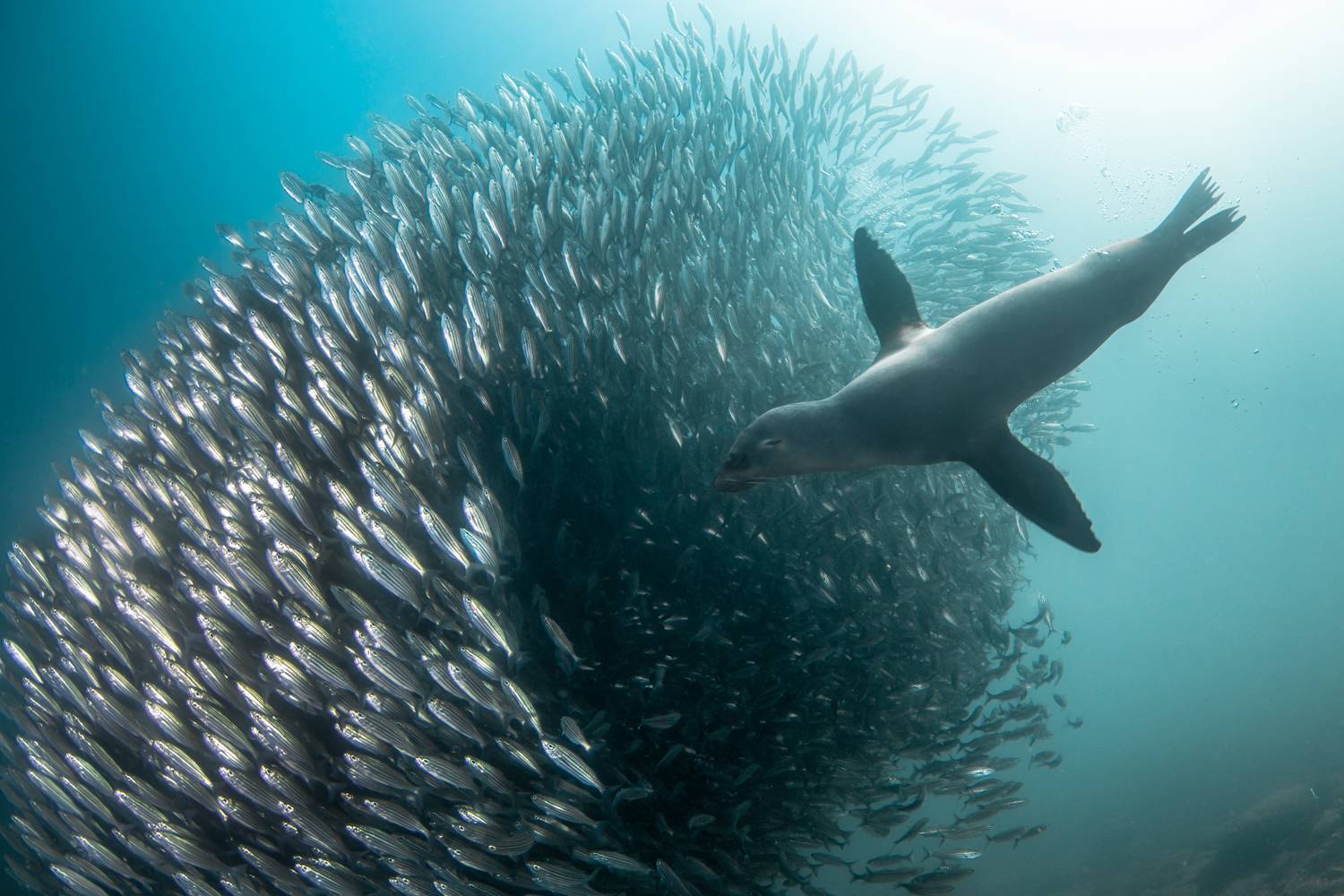 Фотография #13159568