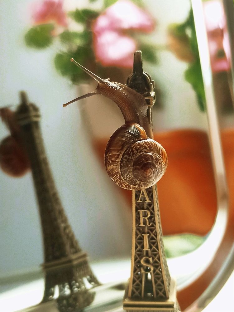 Сегодня Париж, завтра весь мир! Paris today, the wold tomorrow!