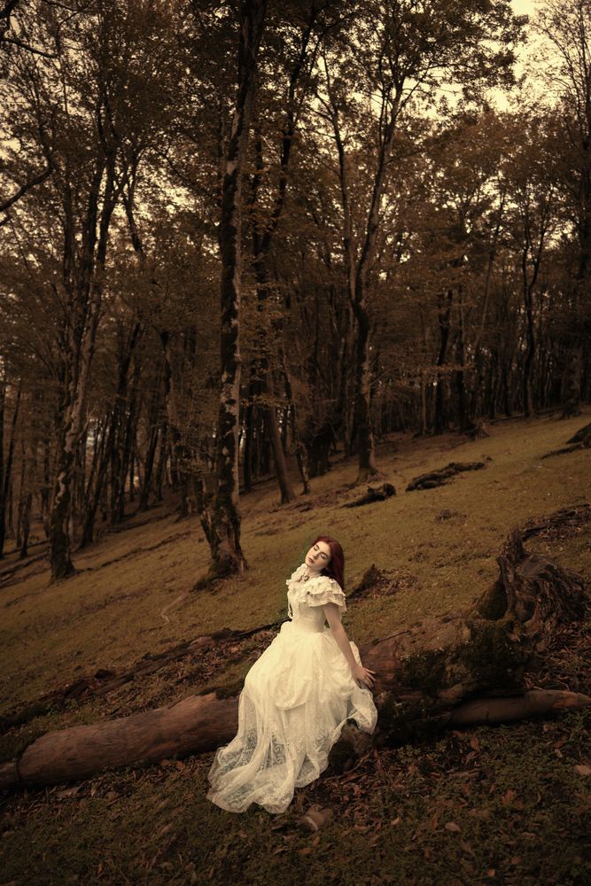 Photograph by Ali Karimi