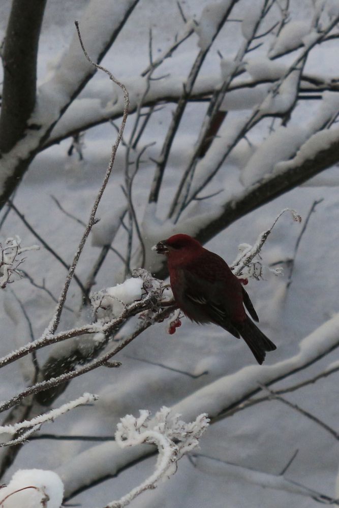 Photograph by Екатерина Иванова