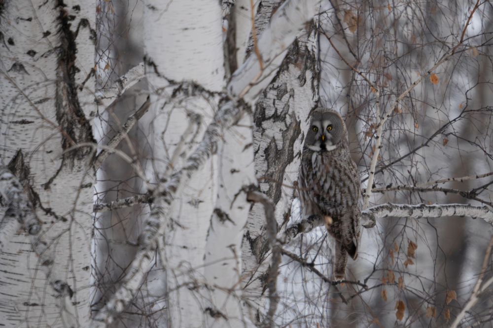 Photograph by Илья Горшенков