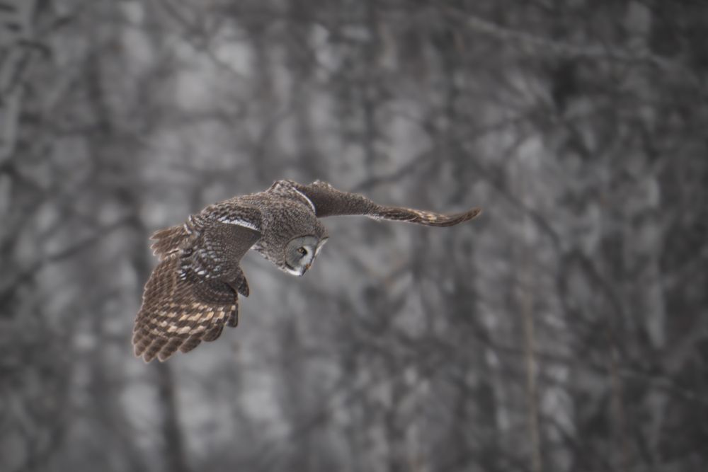 Photograph by Илья Горшенков