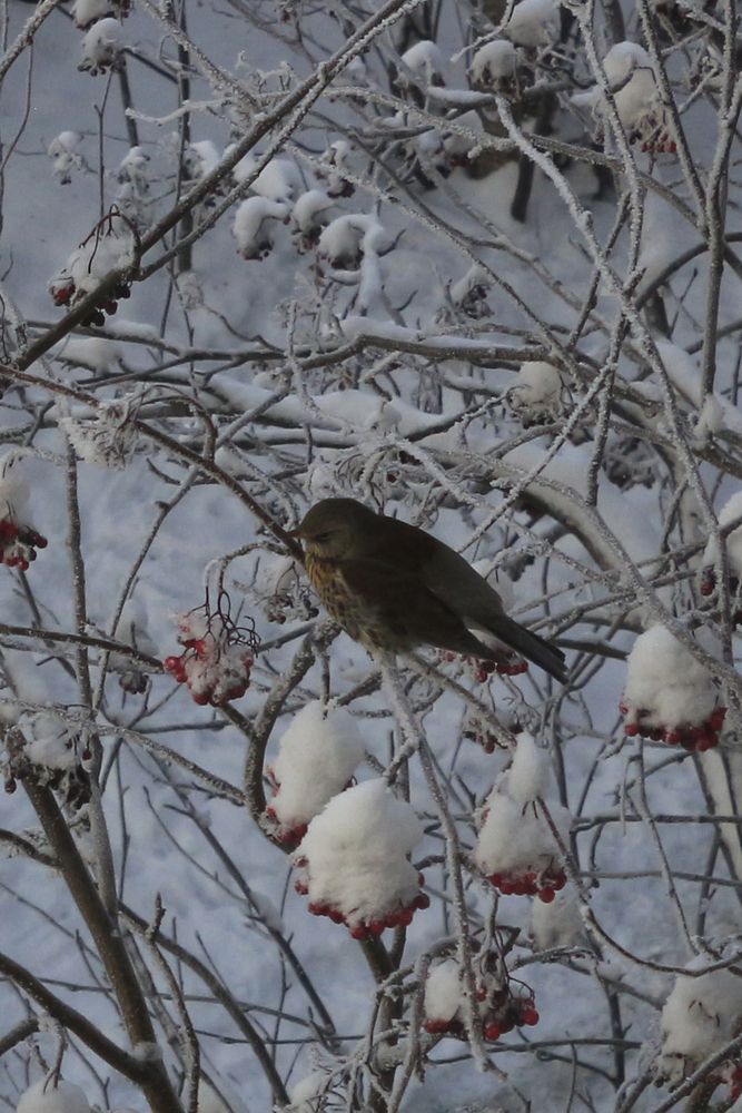 Photograph by Екатерина Иванова