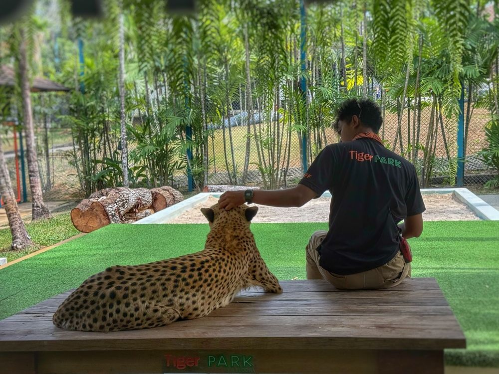 Photograph by Olga Klyueva