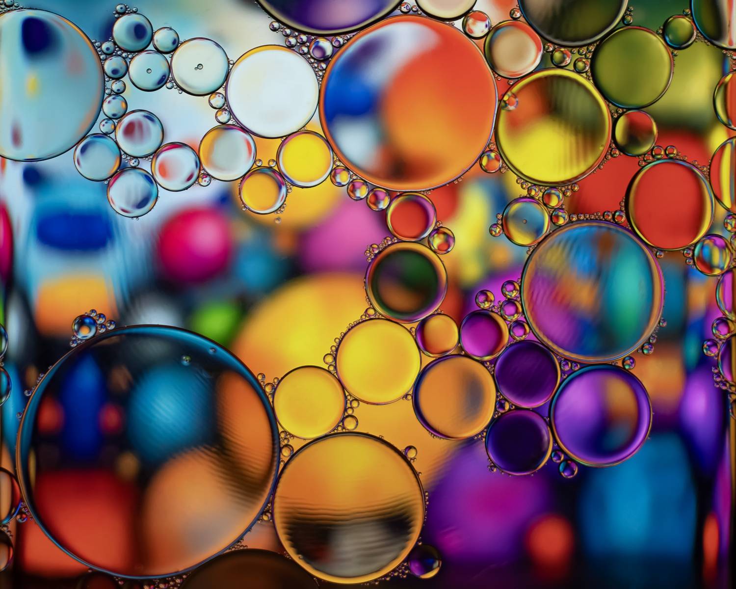 A collection of colorful lollipops