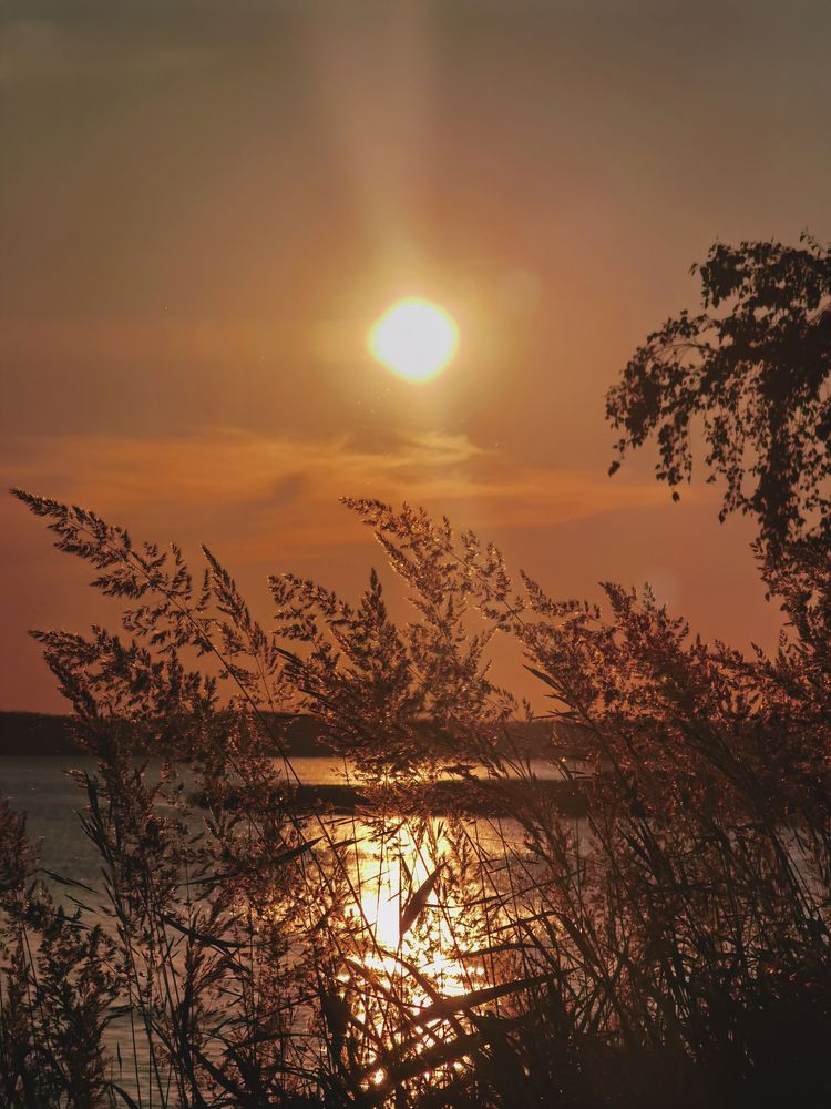 Photograph by Серафима Силина