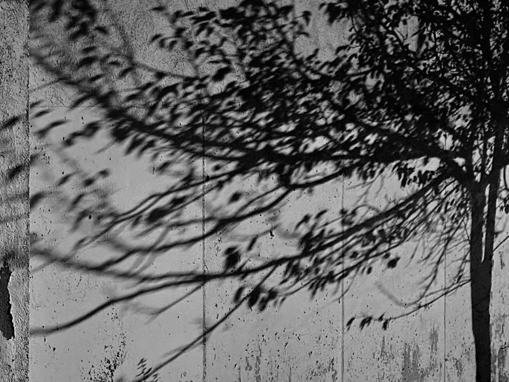 Photograph by Hector Lopez del Castillo