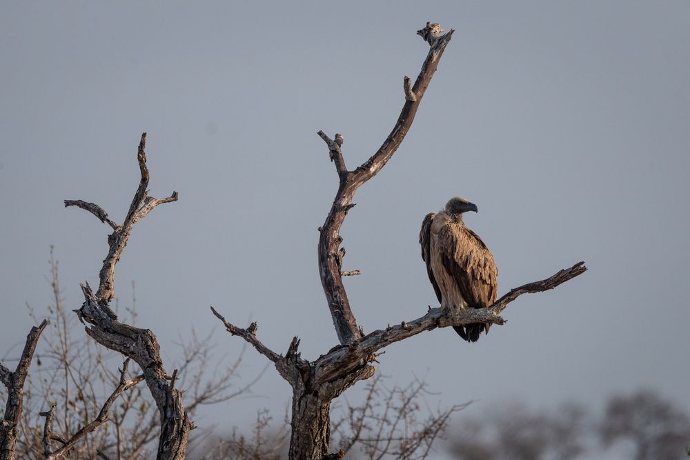 Photograph by Lucio Di Giovannantonio