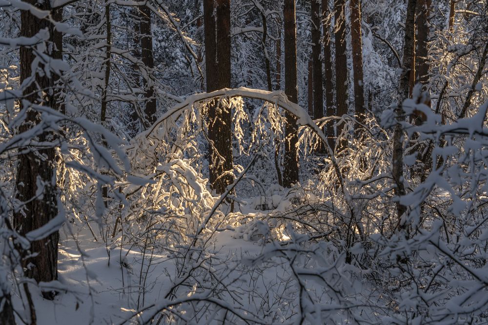 Photograph by АНДРЕЙ АБАКУМОВ