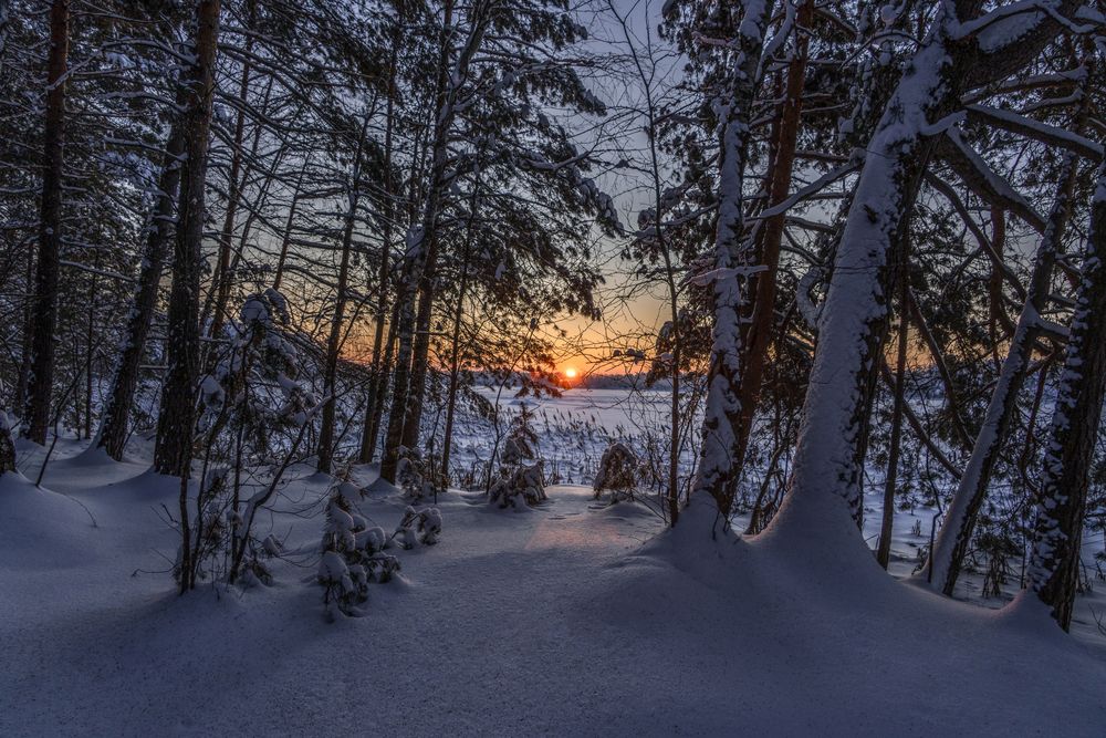 Photograph by АНДРЕЙ АБАКУМОВ