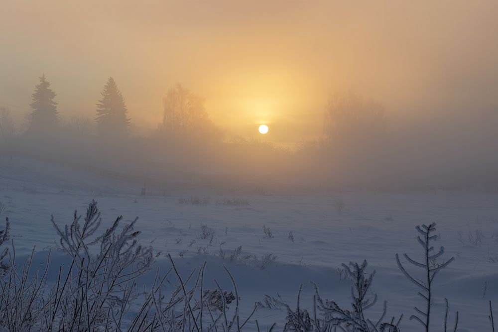 Photograph by АНДРЕЙ АБАКУМОВ
