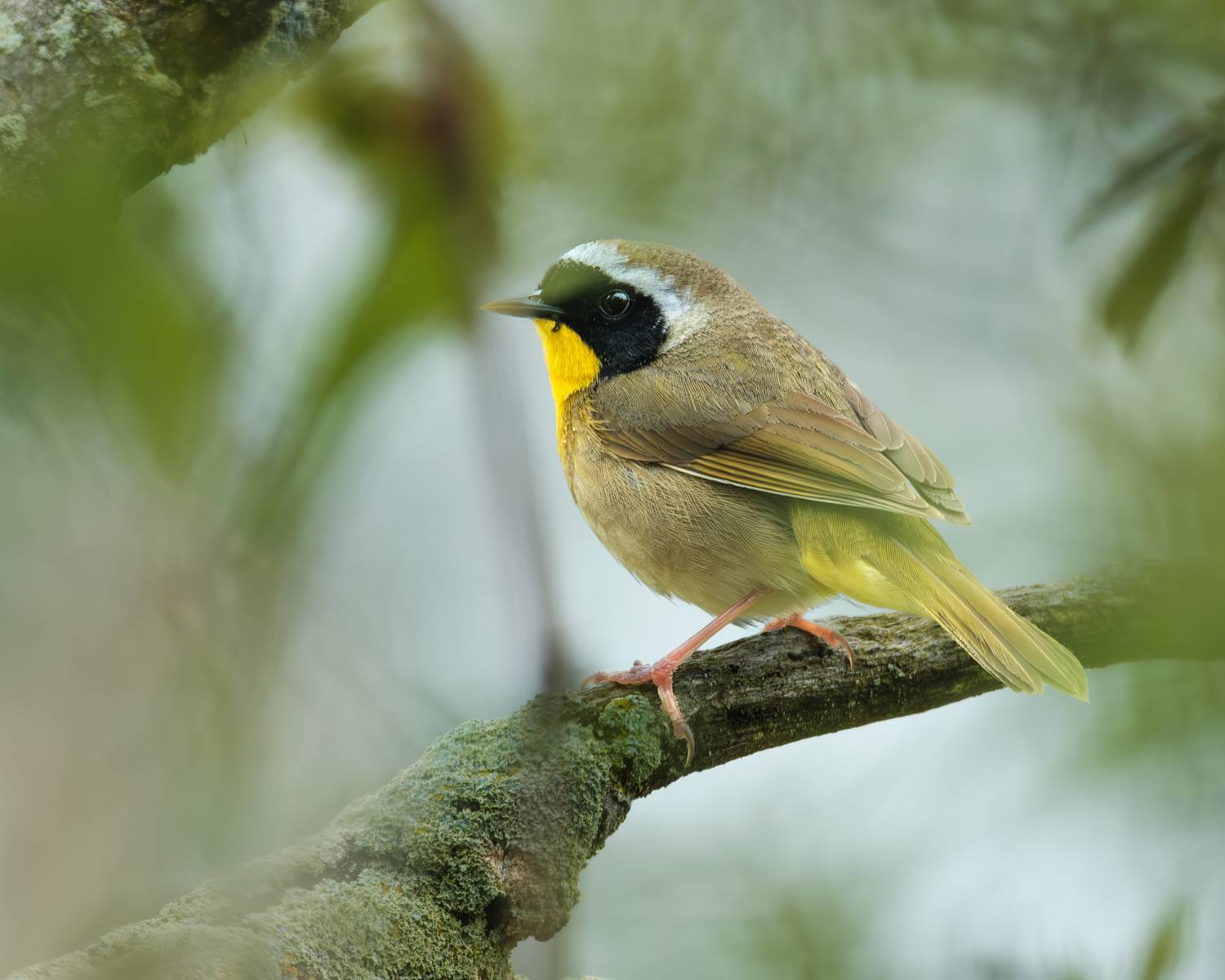 Фотография #13159892