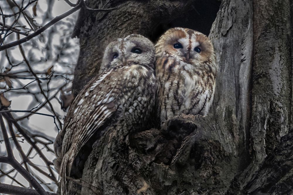 Photograph by АНДРЕЙ АБАКУМОВ