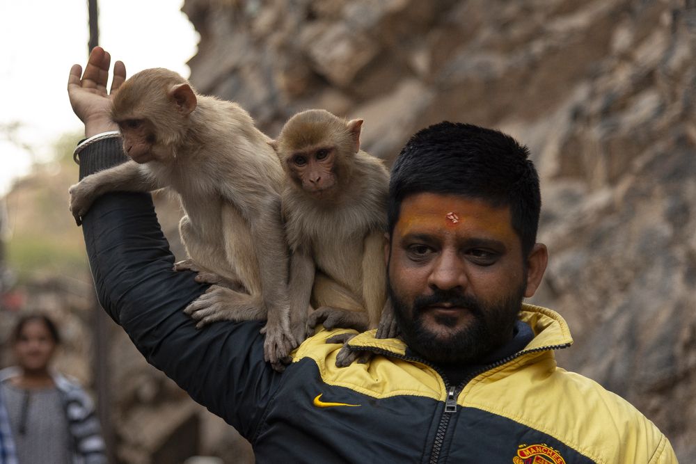 Фотография автора Lucio Di Giovannantonio