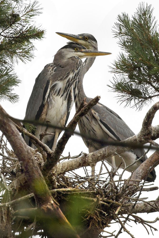 Photograph by АНДРЕЙ АБАКУМОВ