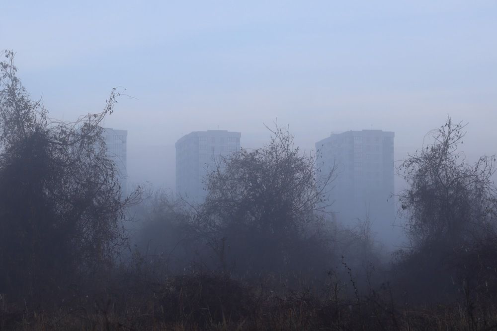 Photograph by Natalya Sedina