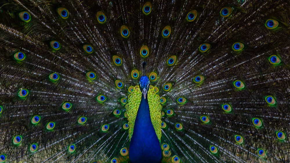 Photograph by Fernando Blancas Santos