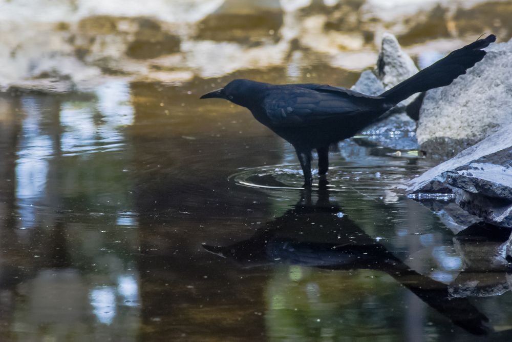 Photograph by Fernando Blancas Santos