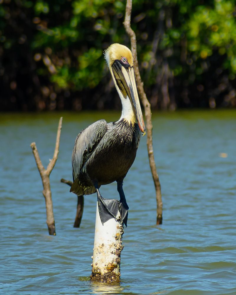 Photograph by Fernando Blancas Santos