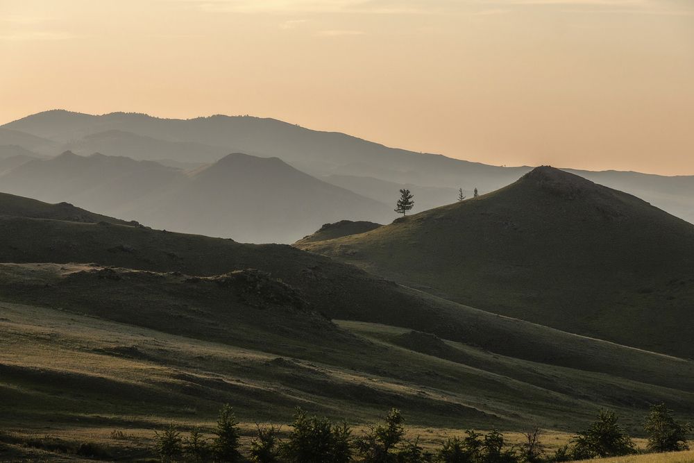 Photograph by Andrey Zaychenko
