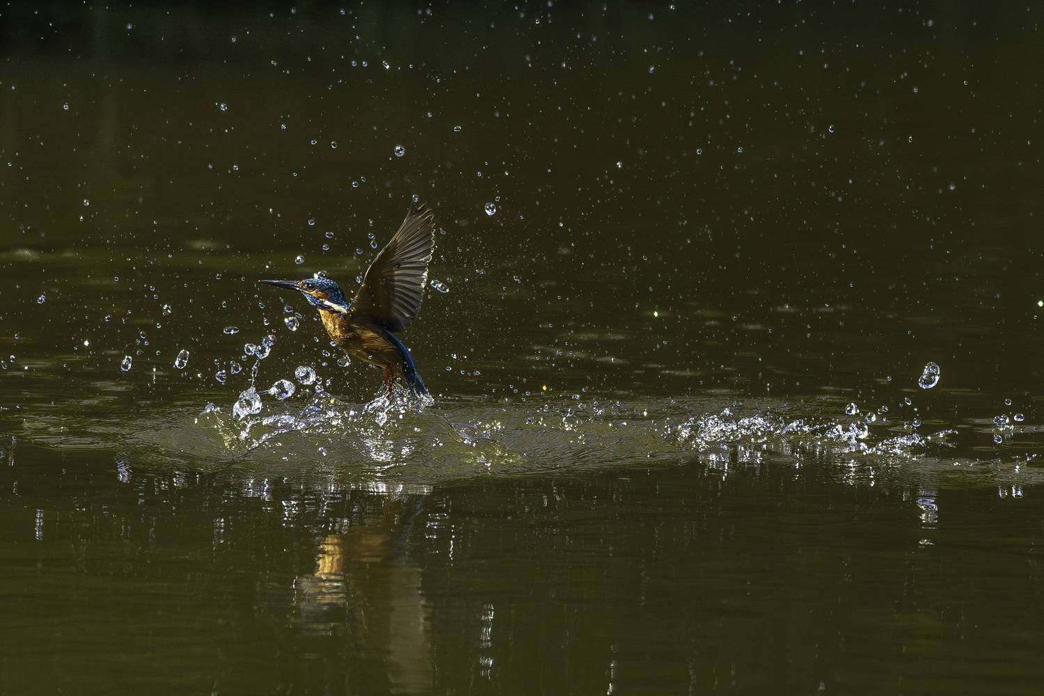 Фотография #13160188