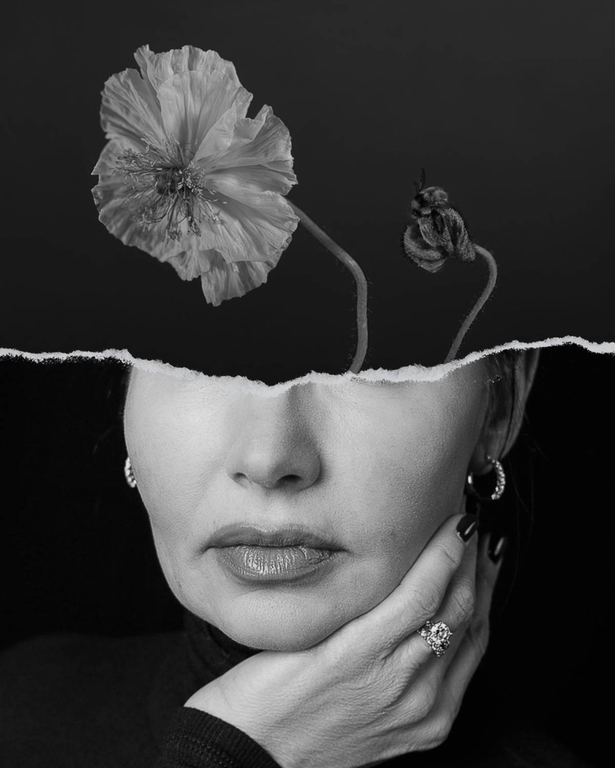 Фотография #13160194