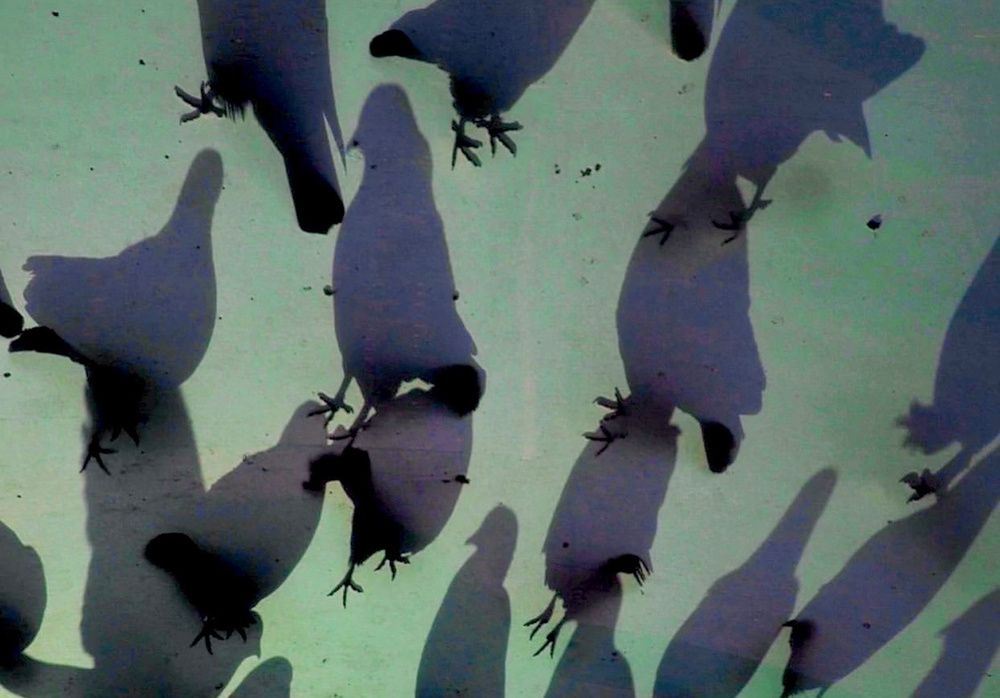 Фотография автора Елена Юдовина