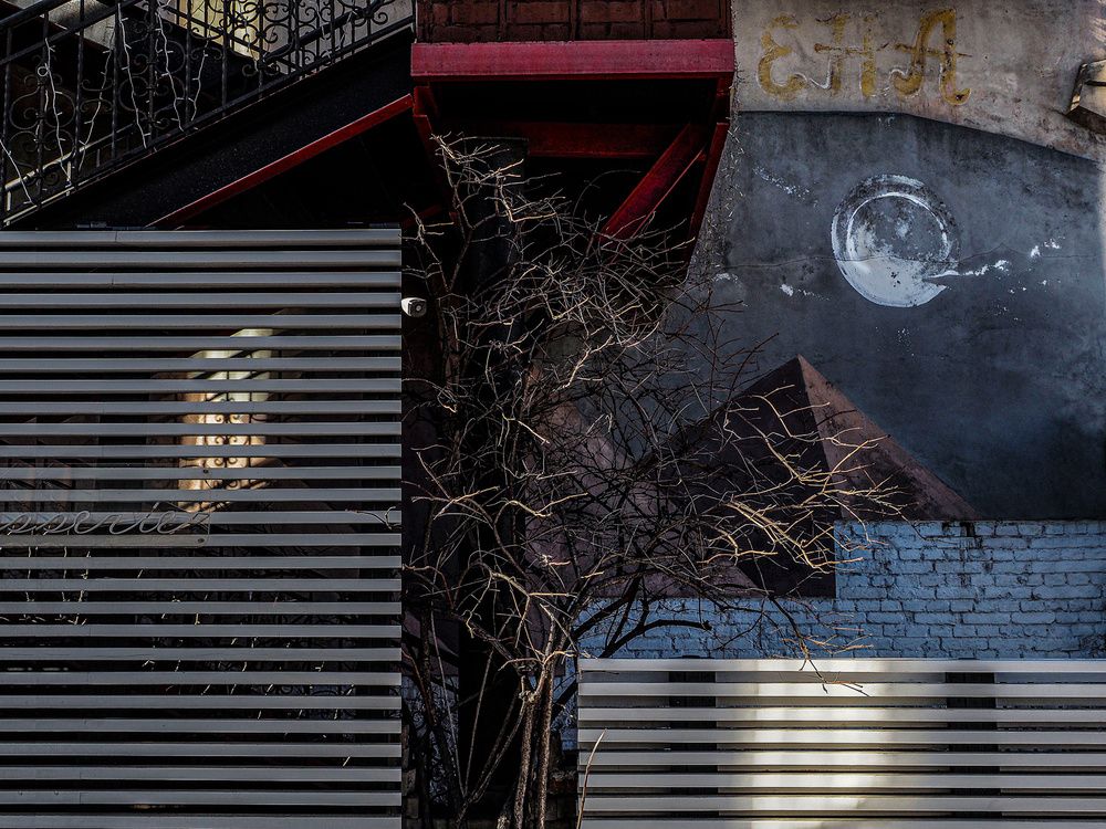 Фотография автора Елена Юдовина