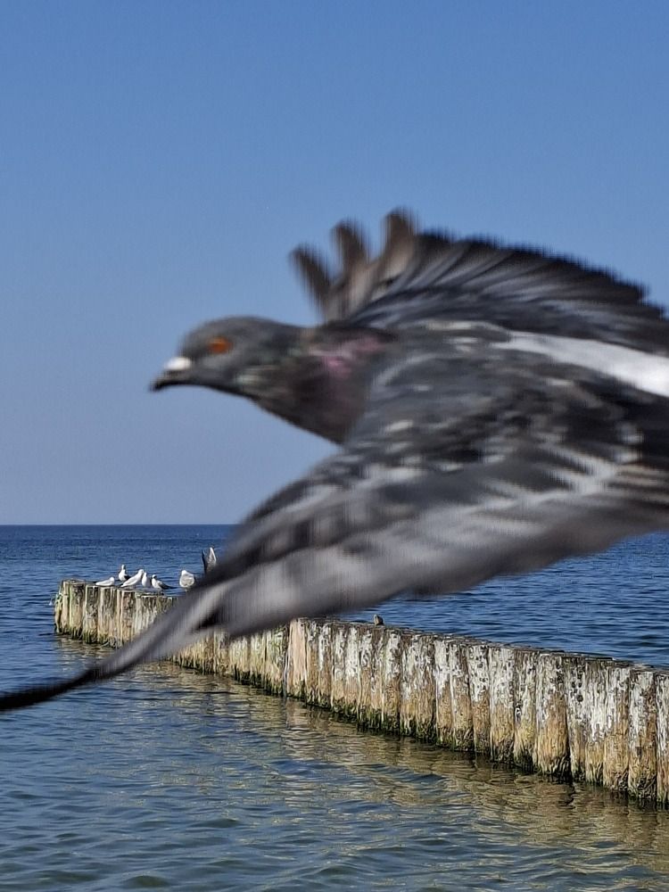 Photograph by Любовь